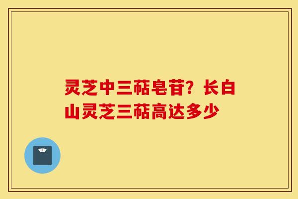 灵芝中三萜皂苷？长白山灵芝三萜高达多少
