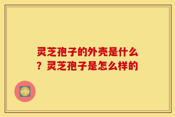 灵芝孢子的外壳是什么？灵芝孢子是怎么样的