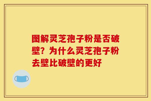 图解灵芝孢子粉是否破壁？为什么灵芝孢子粉去壁比破壁的更好