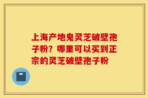 上海产地鬼灵芝破壁孢子粉？哪里可以买到正宗的灵芝破壁孢子粉