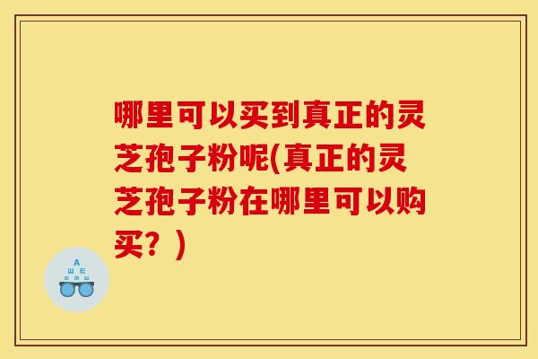 哪里可以买到真正的灵芝孢子粉呢(真正的灵芝孢子粉在哪里可以购买？)