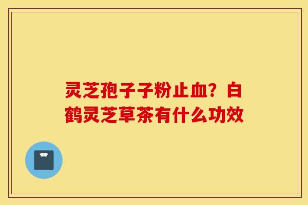 灵芝孢子子粉止血？白鹤灵芝草茶有什么功效