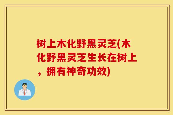 树上木化野黑灵芝(木化野黑灵芝生长在树上，拥有神奇功效)