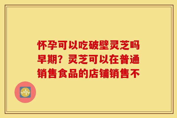 怀孕可以吃破壁灵芝吗早期？灵芝可以在普通销售食品的店铺销售不