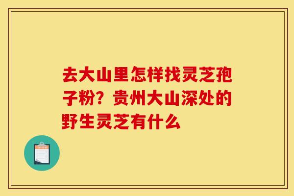 去大山里怎样找灵芝孢子粉？贵州大山深处的野生灵芝有什么