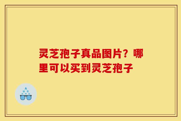 灵芝孢子真品图片？哪里可以买到灵芝孢子