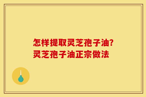 怎样提取灵芝孢子油？灵芝孢子油正宗做法