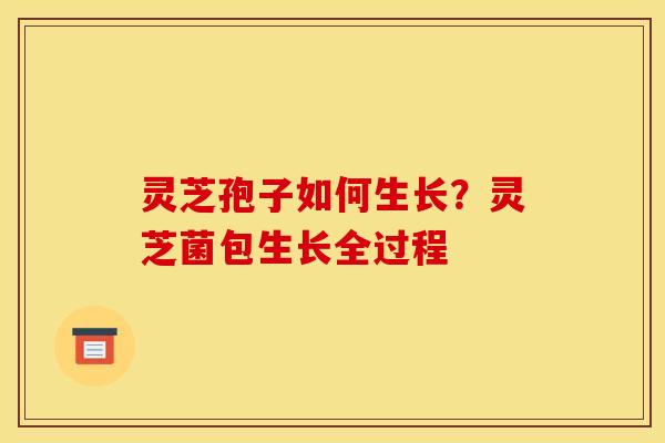 灵芝孢子如何生长？灵芝菌包生长全过程