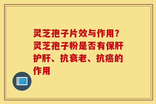 灵芝孢子片效与作用？灵芝孢子粉是否有保肝护肝、抗衰老、抗癌的作用