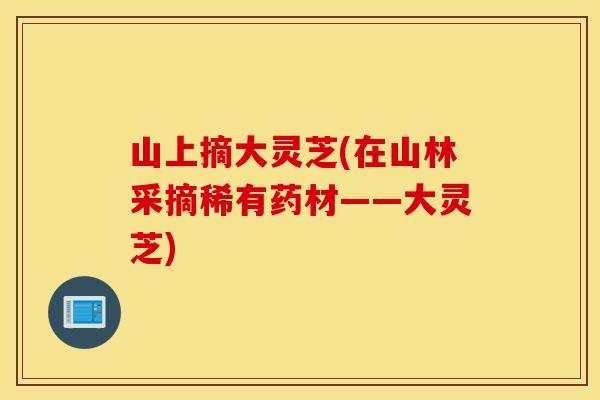 山上摘大灵芝(在山林采摘稀有药材——大灵芝)