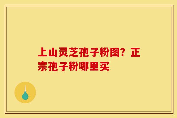 上山灵芝孢子粉图？正宗孢子粉哪里买