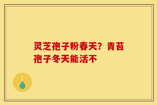 灵芝孢子粉春天？青苔孢子冬天能活不