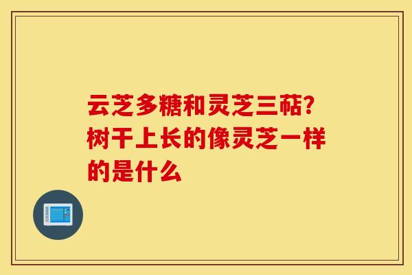 云芝多糖和灵芝三萜？树干上长的像灵芝一样的是什么
