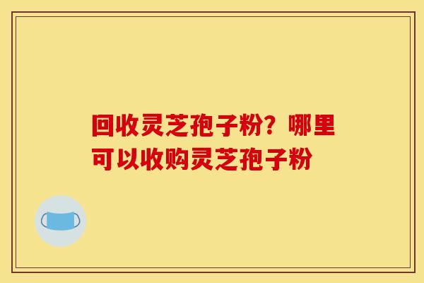 回收灵芝孢子粉？哪里可以收购灵芝孢子粉