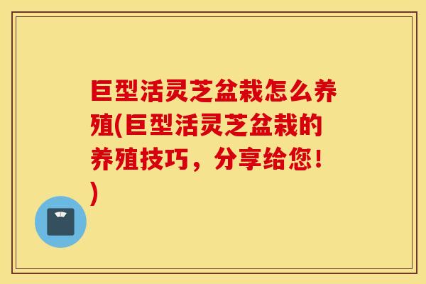 巨型活灵芝盆栽怎么养殖(巨型活灵芝盆栽的养殖技巧，分享给您！)