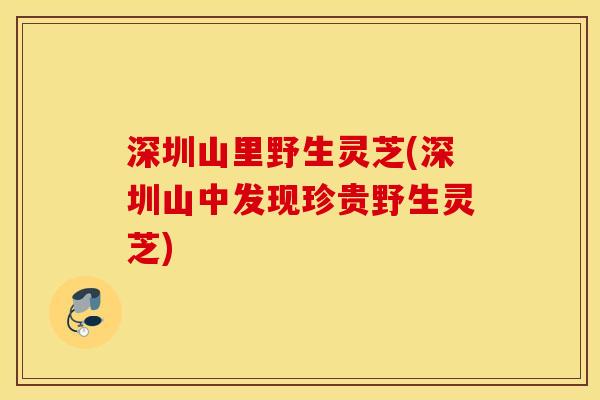 深圳山里野生灵芝(深圳山中发现珍贵野生灵芝)