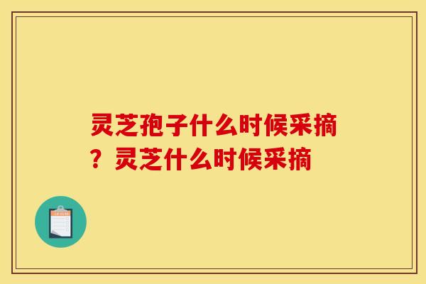 灵芝孢子什么时候采摘？灵芝什么时候采摘