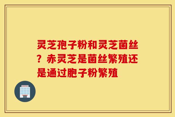 灵芝孢子粉和灵芝菌丝？赤灵芝是菌丝繁殖还是通过胞子粉繁殖