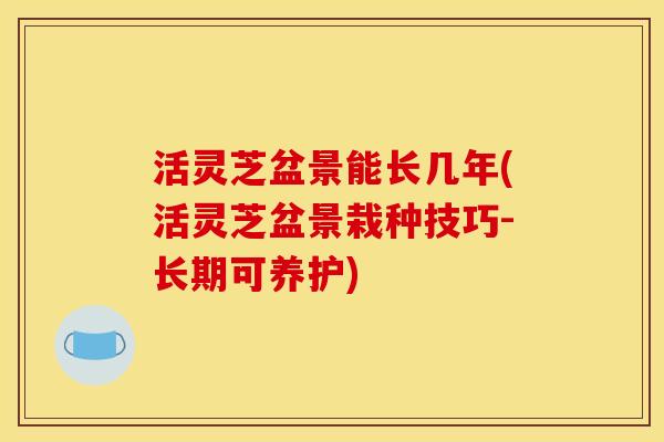 活灵芝盆景能长几年(活灵芝盆景栽种技巧-长期可养护)