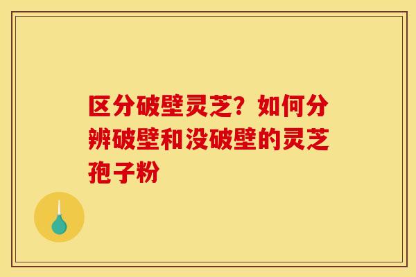 区分破壁灵芝？如何分辨破壁和没破壁的灵芝孢子粉