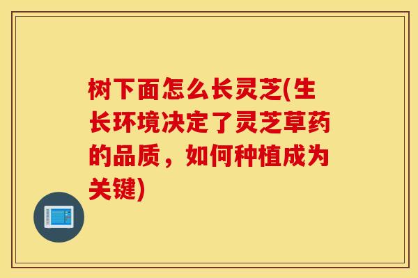树下面怎么长灵芝(生长环境决定了灵芝草药的品质，如何种植成为关键)