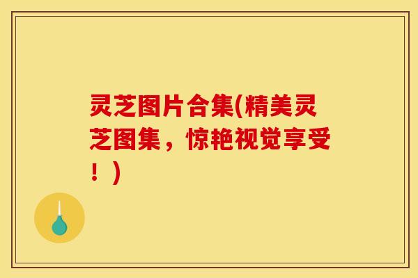 灵芝图片合集(精美灵芝图集，惊艳视觉享受！)
