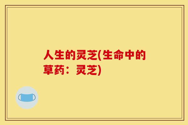 人生的灵芝(生命中的草药：灵芝)