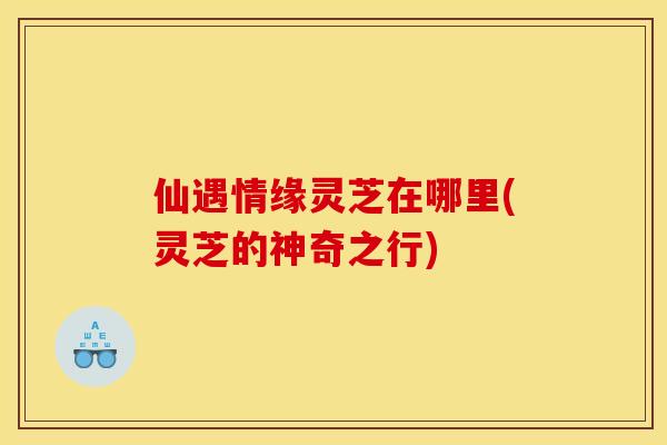 仙遇情缘灵芝在哪里(灵芝的神奇之行)