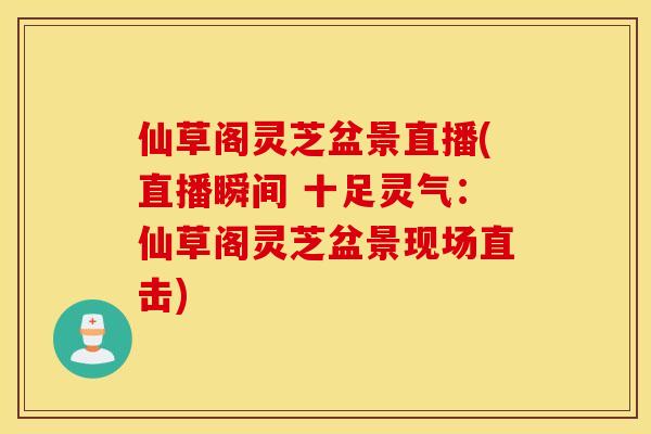 仙草阁灵芝盆景直播(直播瞬间 十足灵气：仙草阁灵芝盆景现场直击)