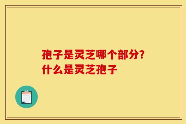 孢子是灵芝哪个部分？什么是灵芝孢子