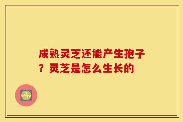 成熟灵芝还能产生孢子？灵芝是怎么生长的