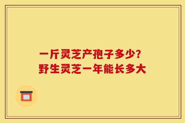一斤灵芝产孢子多少？野生灵芝一年能长多大