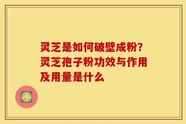 灵芝是如何破壁成粉？灵芝孢子粉功效与作用及用量是什么