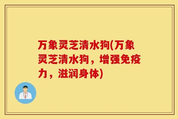 万象灵芝清水狗(万象灵芝清水狗，增强免疫力，滋润身体)