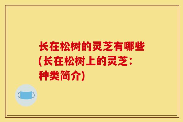 长在松树的灵芝有哪些(长在松树上的灵芝:种类简介) 长在松树的灵芝有哪些(长在松树上的灵芝:种类简介)
