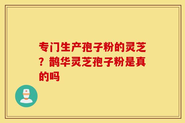 专门生产孢子粉的灵芝？鹊华灵芝孢子粉是真的吗