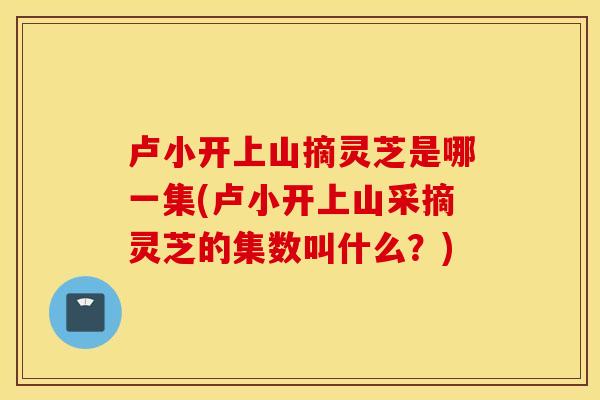 卢小开上山摘灵芝是哪一集(卢小开上山采摘灵芝的集数叫什么？)