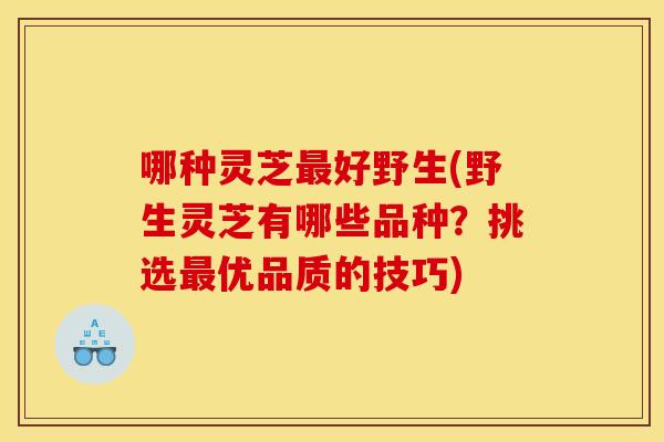 哪种灵芝好野生(野生灵芝有哪些品种？挑选优品质的技巧)