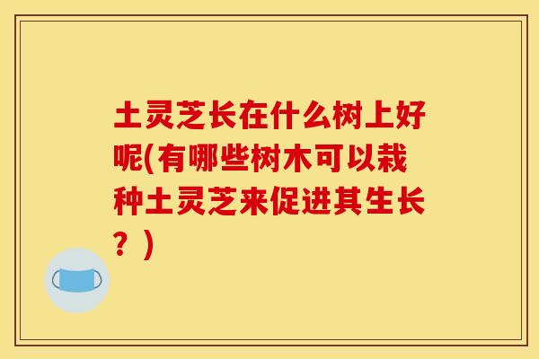 土灵芝长在什么树上好呢(有哪些树木可以栽种土灵芝来促进其生长？)