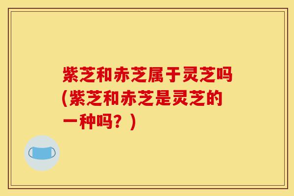 紫芝和赤芝属于灵芝吗(紫芝和赤芝是灵芝的一种吗？)