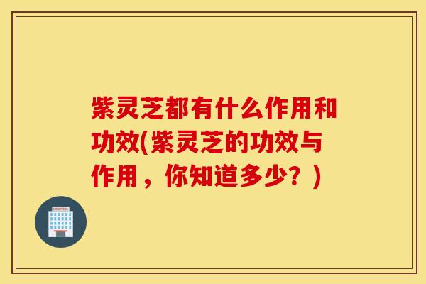 紫灵芝都有什么作用和功效(紫灵芝的功效与作用，你知道多少？)