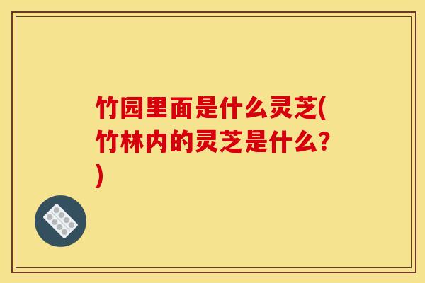 竹园里面是什么灵芝(竹林内的灵芝是什么？)