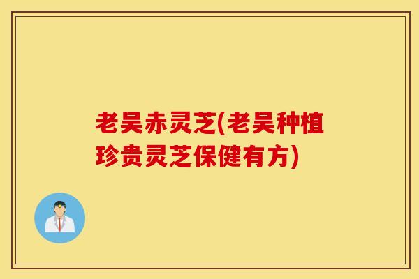 老吴赤灵芝(老吴种植珍贵灵芝保健有方)