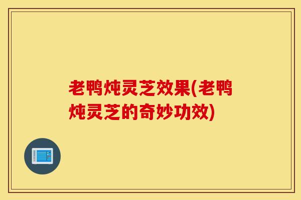 老鸭炖灵芝效果(老鸭炖灵芝的奇妙功效)