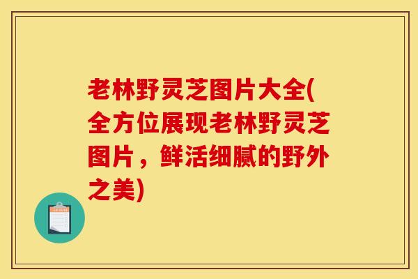 老林野灵芝图片大全(全方位展现老林野灵芝图片，鲜活细腻的野外之美)