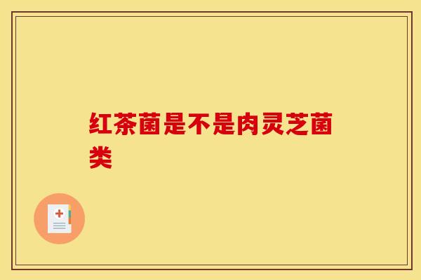 红茶菌是不是肉灵芝菌类