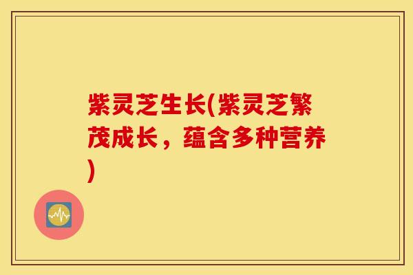 紫灵芝生长(紫灵芝繁茂成长，蕴含多种营养)