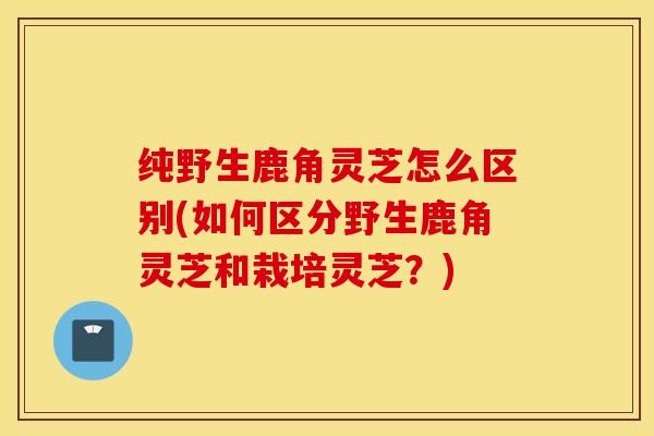 纯野生鹿角灵芝怎么区别(如何区分野生鹿角灵芝和栽培灵芝？)