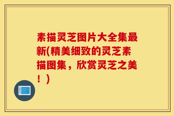 素描灵芝图片大全集最新(精美细致的灵芝素描图集，欣赏灵芝之美！)