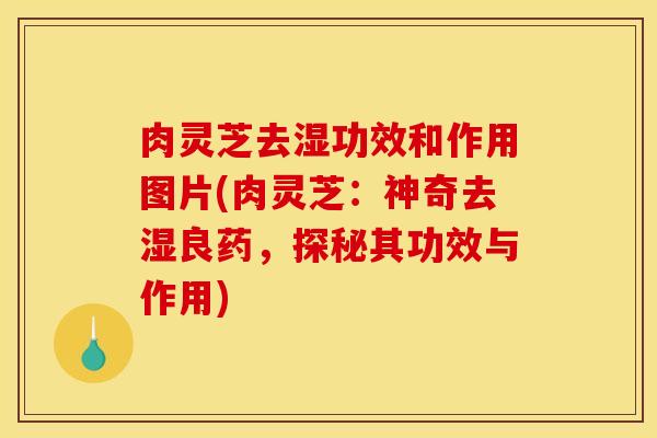 肉灵芝去湿功效和作用图片(肉灵芝：神奇去湿良药，探秘其功效与作用)